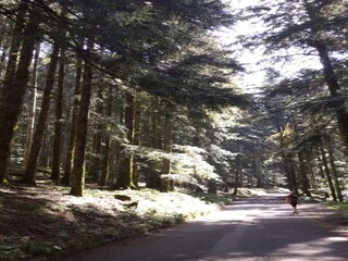 Casa per le vacanze Bibbiena Ambiente 35