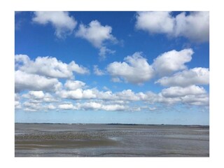 Ferienwohnung Dangast Außenaufnahme 15