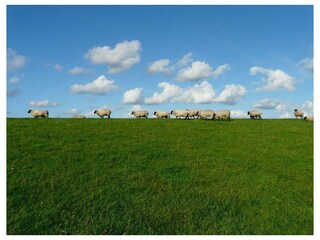 Ferienwohnung Dangast Außenaufnahme 17