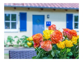 Ferienwohnung Bork Außenaufnahme 17