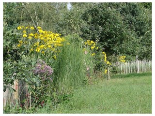 Ferienwohnung Bispingen Außenaufnahme 18