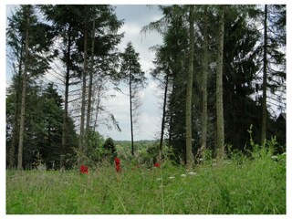 Ferienwohnung Bispingen Außenaufnahme 19