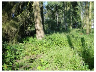 Ferienwohnung Bispingen Außenaufnahme 20