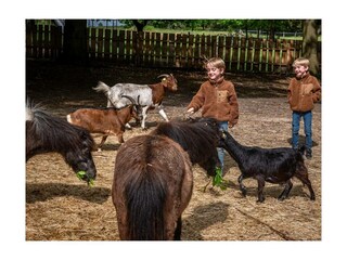 Ferienwohnung Bispingen Außenaufnahme 22