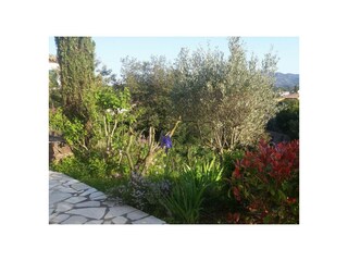 Ferienwohnung Saint-Raphael Außenaufnahme 18