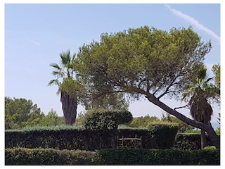 Ferienwohnung Saint-Raphael Außenaufnahme 25