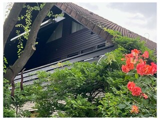 Ferienwohnung Bad Zwischenahn Außenaufnahme 7