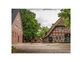 Ferienwohnung Bispingen Außenaufnahme 11