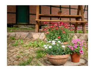 Ferienwohnung Bispingen Außenaufnahme 13