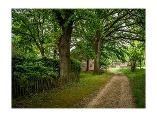Ferienwohnung Bispingen Außenaufnahme 16