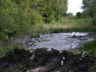 Gesundes Moor in Bad Kohlgrub