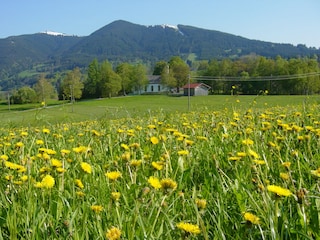 Bad Kohlgrub mit Rochuskirche u. Blick aufs Hörnle