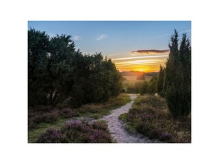 Ferienwohnung Bispingen Außenaufnahme 6