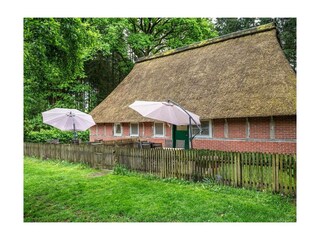 Ferienwohnung Bispingen Außenaufnahme 16