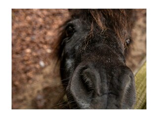 Ferienwohnung Bispingen Außenaufnahme 19