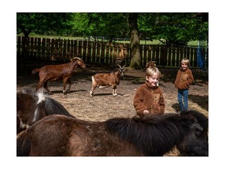 Ferienwohnung Bispingen Außenaufnahme 24