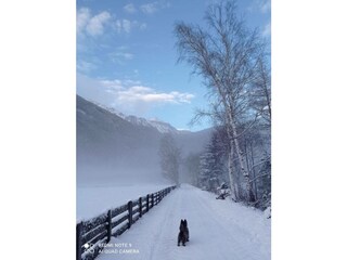Ferienwohnung Umhausen Außenaufnahme 27