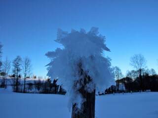 Eis-Skulptur am Zaunpfahl (01/17)