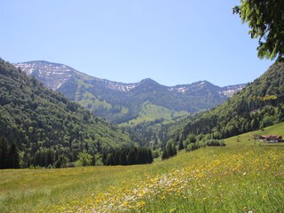 Blick zur Nagelfluhkette vom Weg Steibis-Hochgratbahn