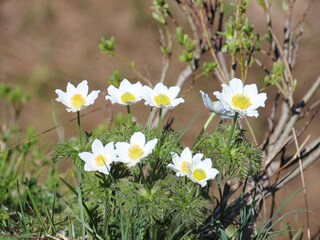Appartamento per vacanze Oberstaufen Ambiente 21