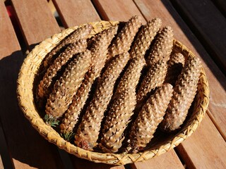 Appartamento per vacanze Oberstaufen Ambiente 33