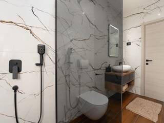 Villa Svetvinčenat Caratteristiche 19