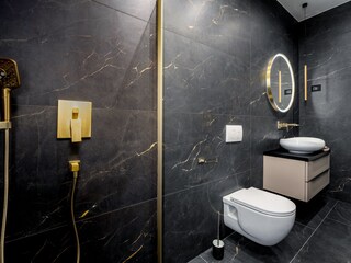 Villa Svetvinčenat Caratteristiche 24