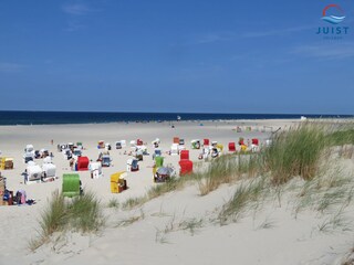 Strandkörbe am Strand