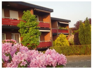 Ferienwohnung Bad Zwischenahn Außenaufnahme 4