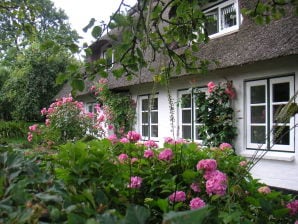 Ferienwohnung "Die Kutscherkate" - Langballigau - image1