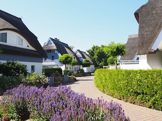 Likedeelerweg
