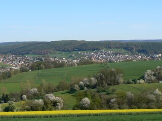 Appartamento per vacanze Bad König Registrazione all'aperto 5