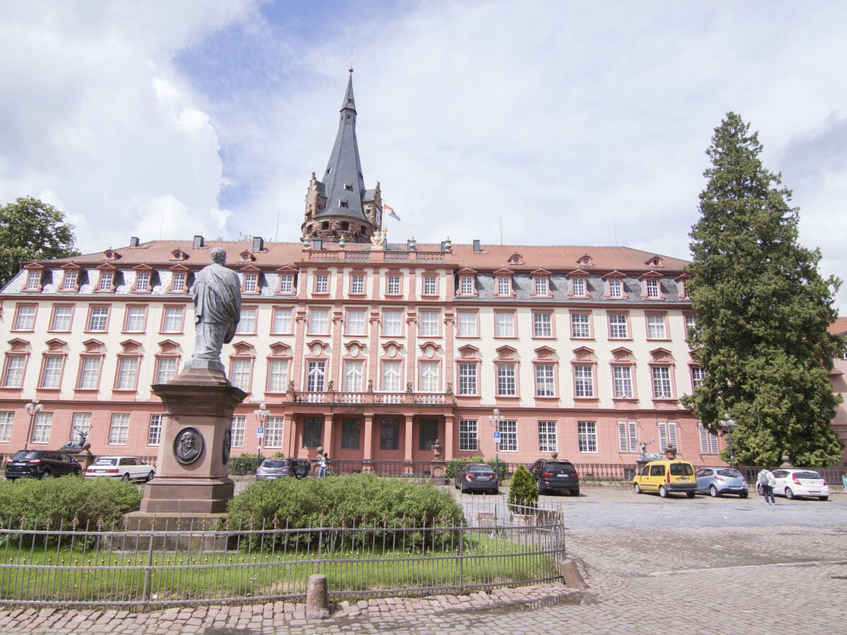 Schloss in Erbach