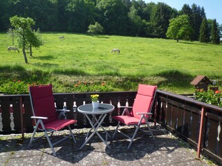 Vakantieappartement Bad König Omgeving 6