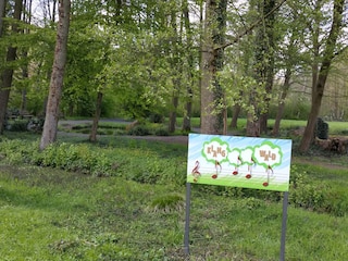 Appartamento per vacanze Bad König  23