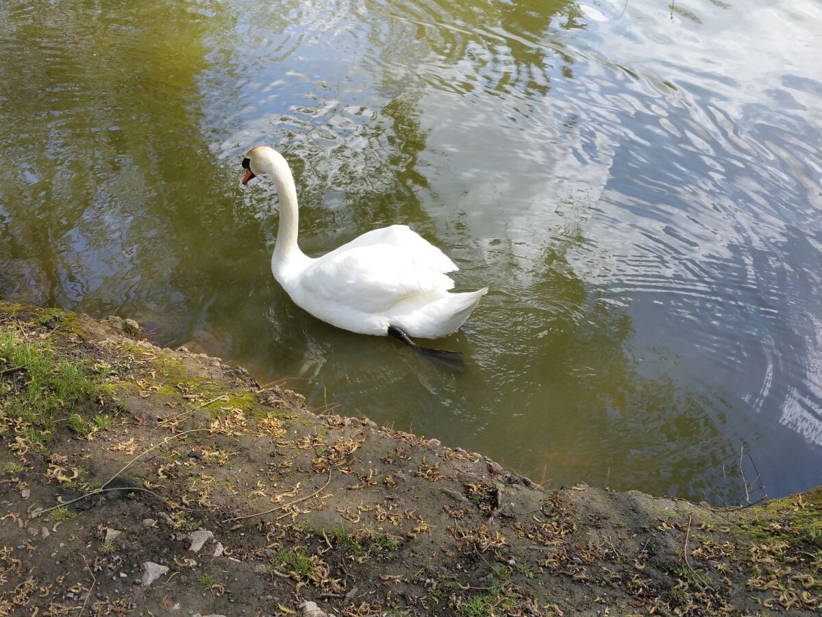 Seenanlage im Kurpark