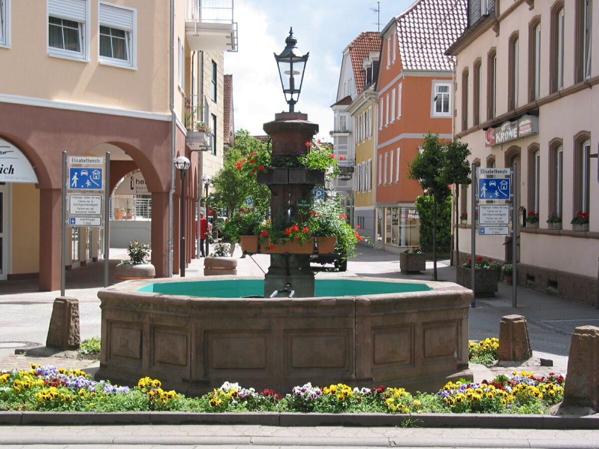 Großer Brunnen in Bad König