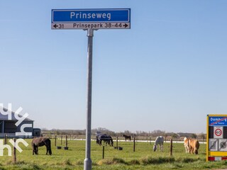 Ferienhaus Domburg Umgebung 39
