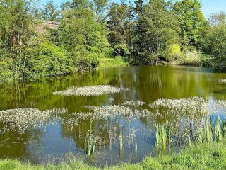 Maison de vacances Vejby Strand  17