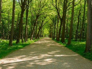 Casa per le vacanze Oostkapelle Ambiente 30