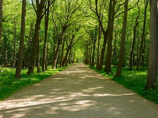 Maison de vacances Oostkapelle Environnement 29