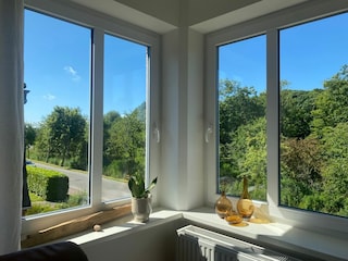 Blick  in den kleinen Wald