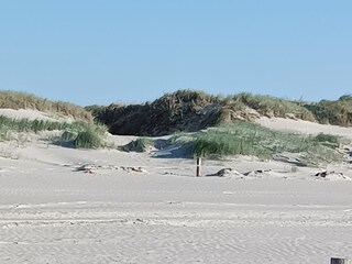 Dünenlandschaft in St .Peter Ording