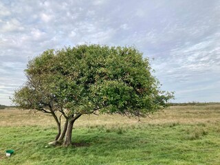 Maison de vacances Bredebro  38