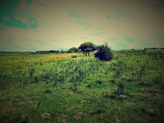 Casa per le vacanze Bredebro  11