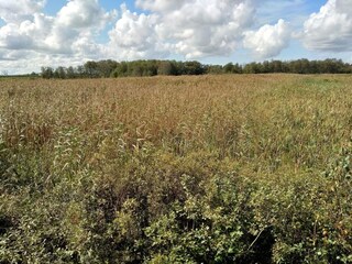 Casa per le vacanze Bredebro  12