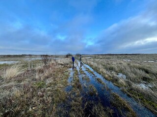 Maison de vacances Bredebro  29