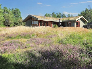 Ferienhaus Blokhus  3