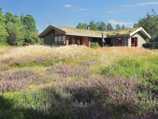 Holiday house Blokhus  3