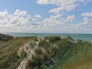 Holiday house Blokhus  13